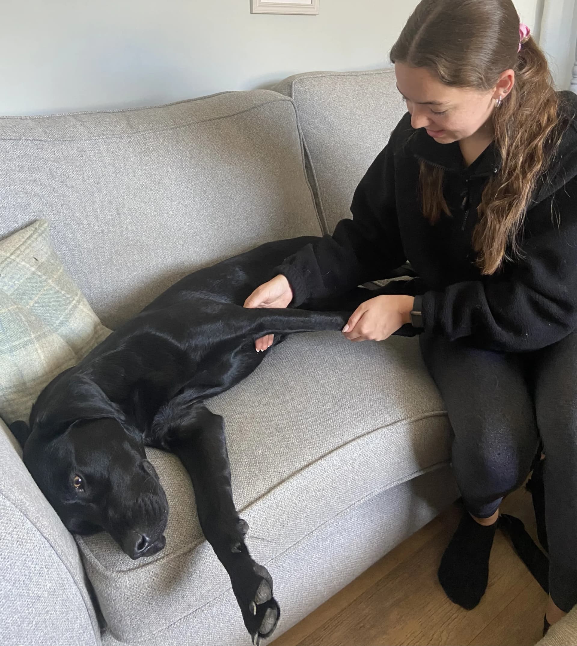 Natalie Stoner Vet Physio website
